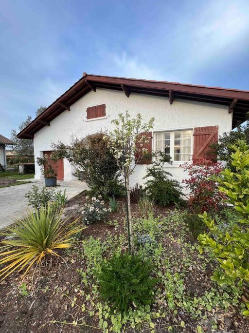 Agreable Maison Landaise Proche Du Lac Sanguinet Exterior photo