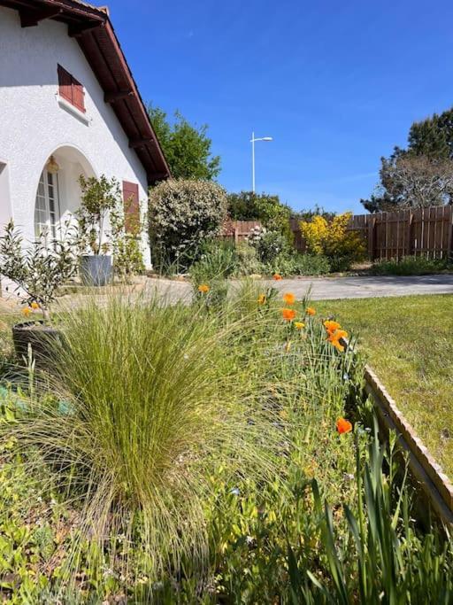 Agreable Maison Landaise Proche Du Lac Sanguinet Exterior photo